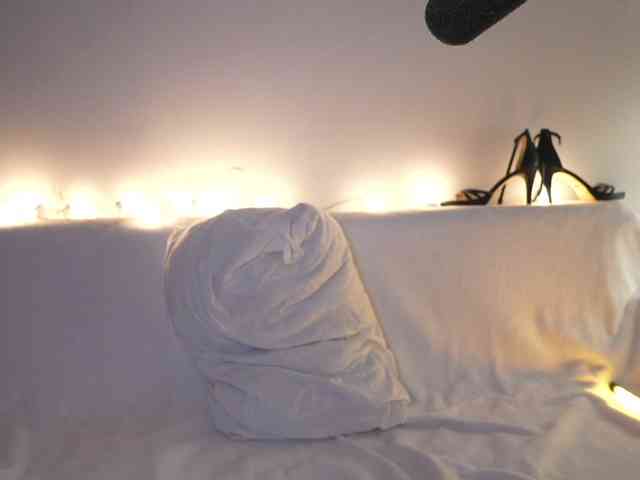 MagneticAmi webcam