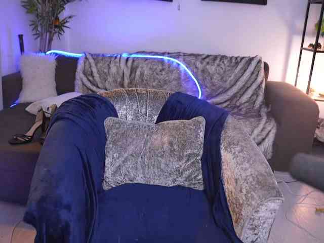 MagneticAmi webcam