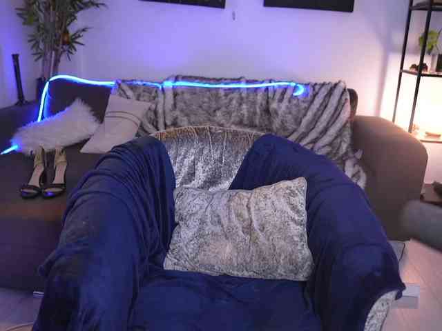 MagneticAmi webcam