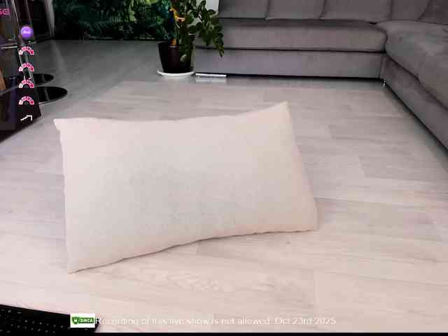 Laranya webcam