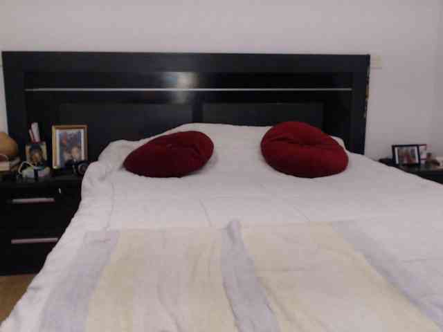 angycougar webcam