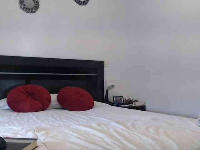 angycougar webcam