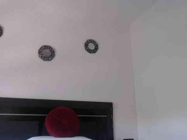 angycougar webcam