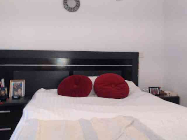 angycougar webcam
