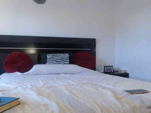 angycougar webcam