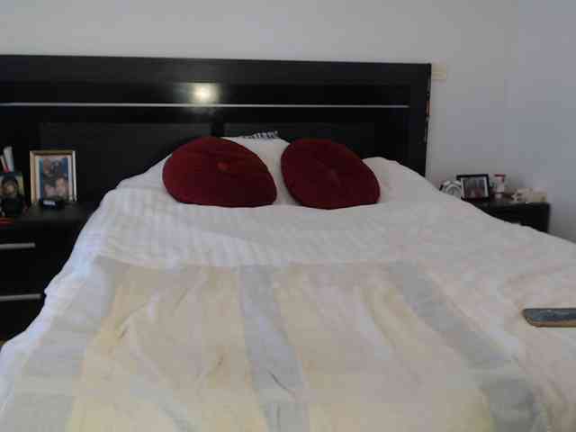 angycougar webcam