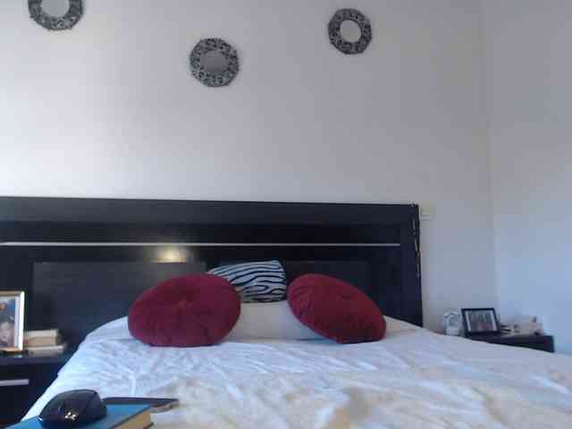 angycougar webcam