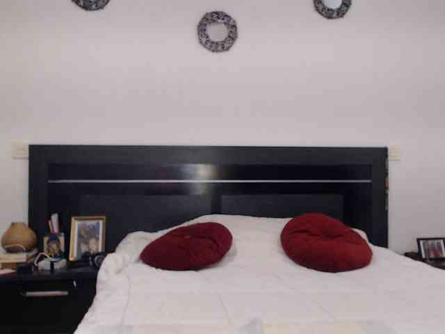 angycougar webcam