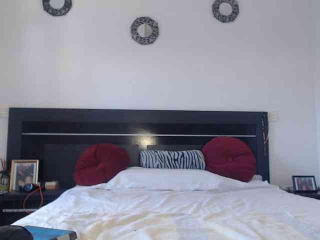 angycougar webcam