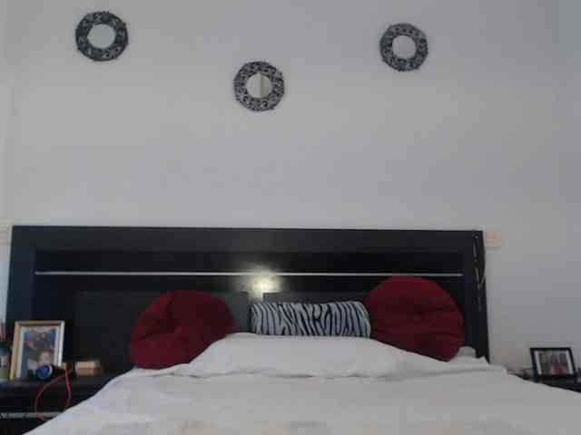 angycougar webcam
