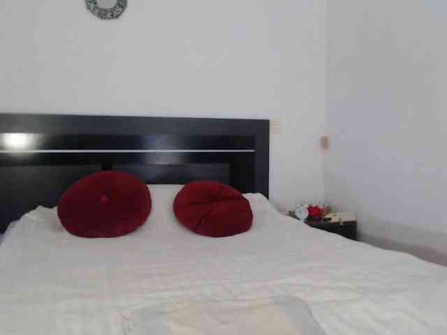 angycougar angycougar