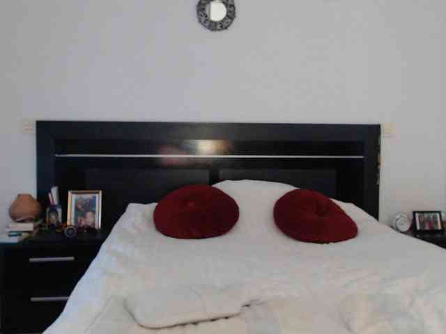 angycougar webcam