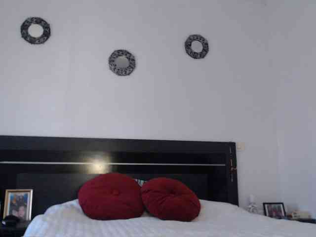 angycougar webcam