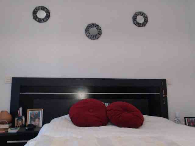 angycougar webcam