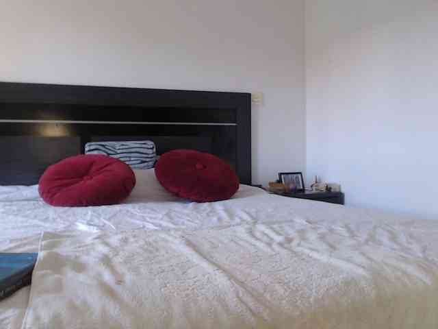 angycougar webcam
