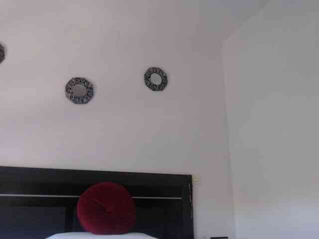angycougar webcam