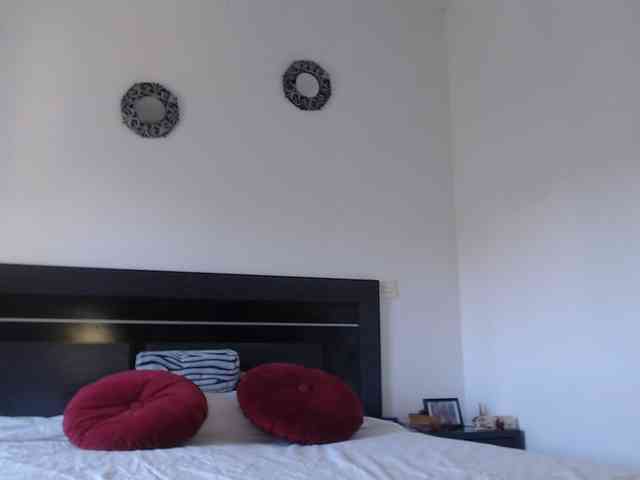 angycougar webcam