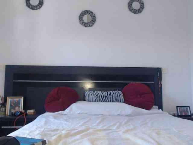 angycougar webcam