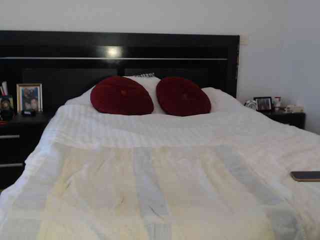 angycougar webcam