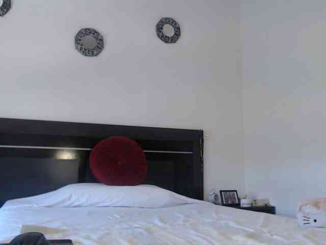 angycougar webcam