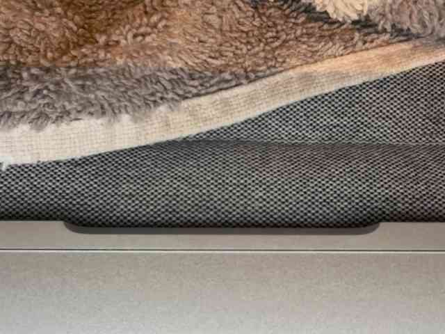 sam-cum4y Live Webcam on BongaCams