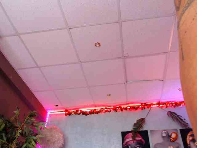 Chanelcharmx webcam