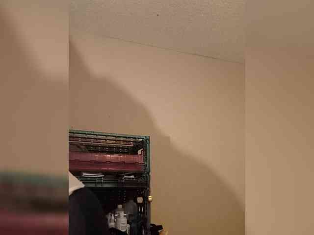 RenegadeVyxx3n webcam