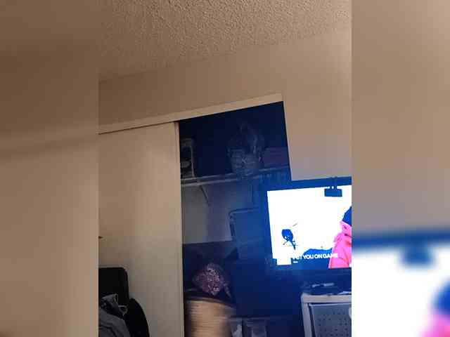 RenegadeVyxx3n webcam