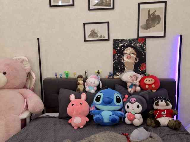 dolly-ll webcam