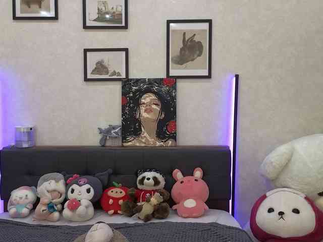 dolly-ll webcam