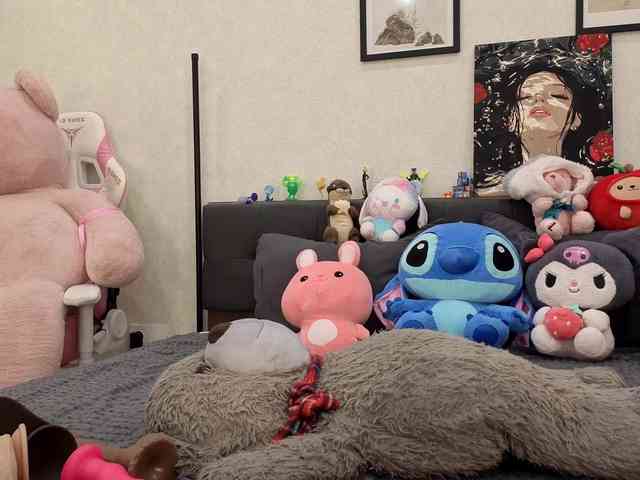 dolly-ll webcam
