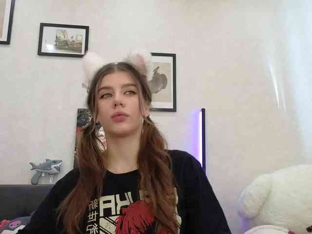 dolly-ll webcam
