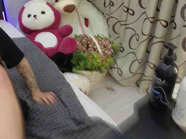 dolly-ll webcam