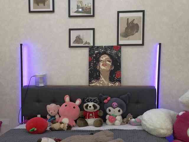 dolly-ll webcam