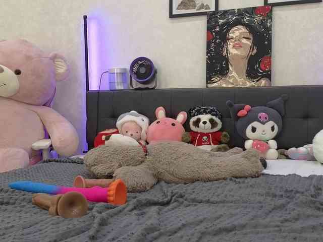 dolly-ll webcam