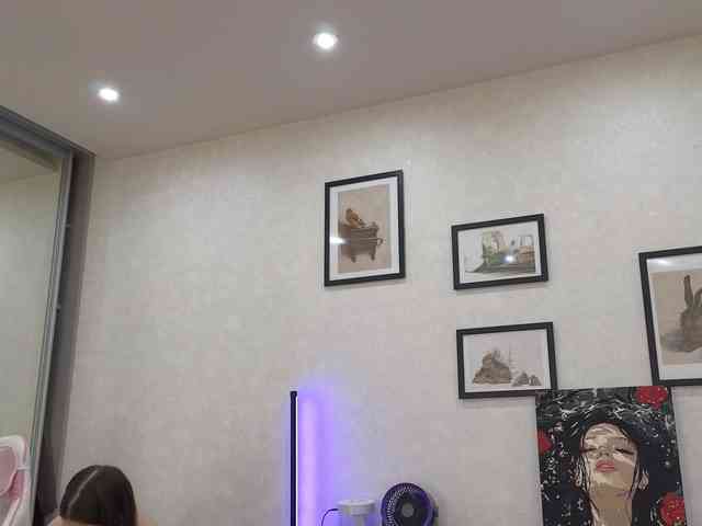 dolly-ll webcam