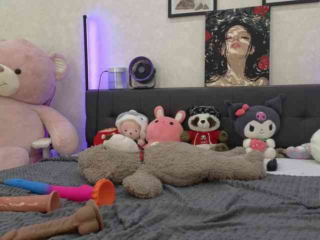 dolly-ll webcam