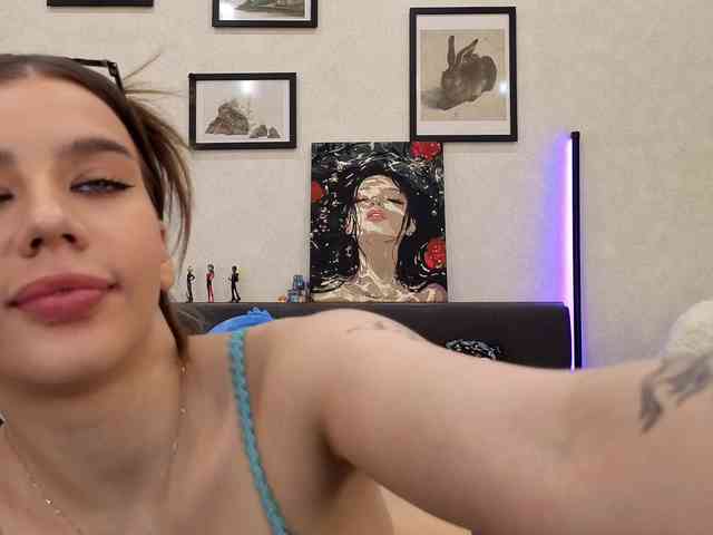dolly-ll webcam