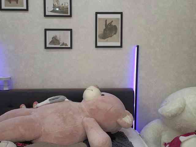 dolly-ll webcam