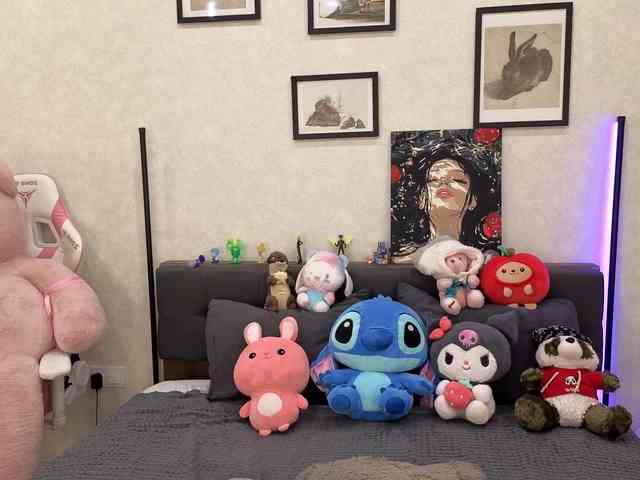 dolly-ll webcam