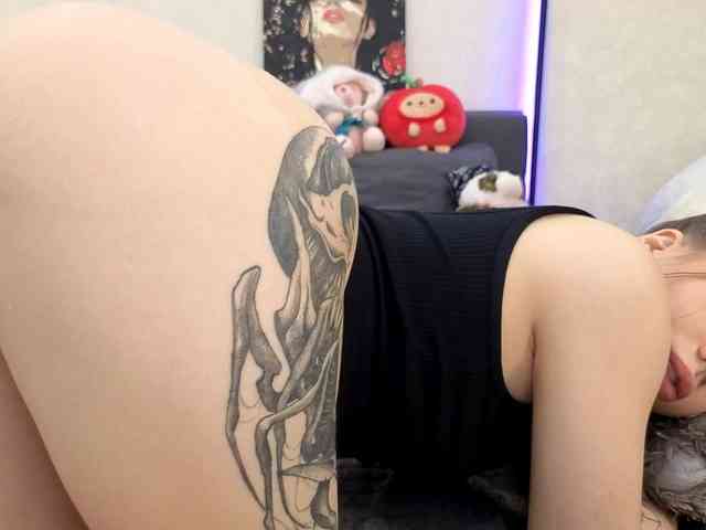 dolly-ll webcam