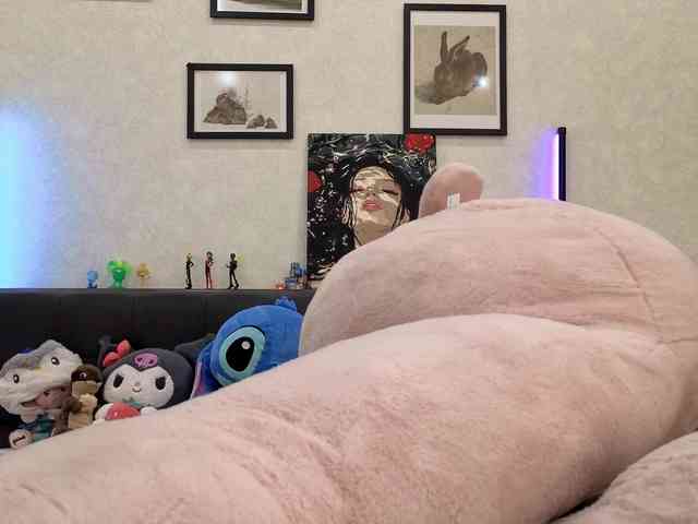 dolly-ll webcam