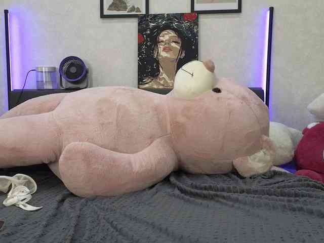 dolly-ll webcam