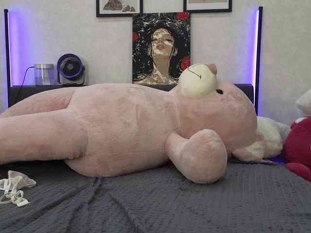 dolly-ll webcam