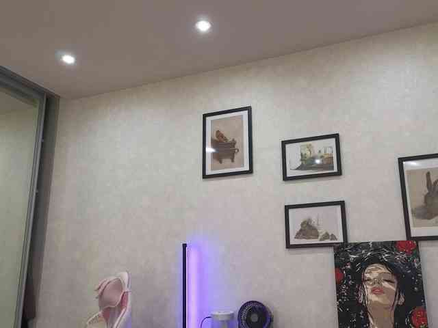 dolly-ll webcam