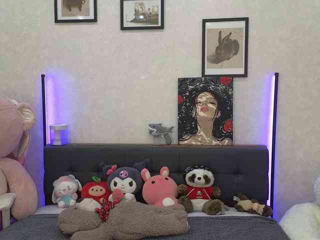 dolly-ll webcam