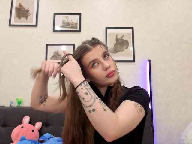dolly-ll webcam