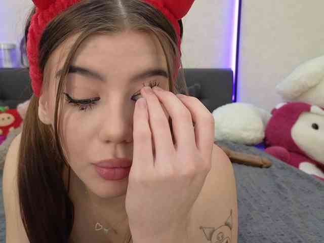 dolly-ll webcam