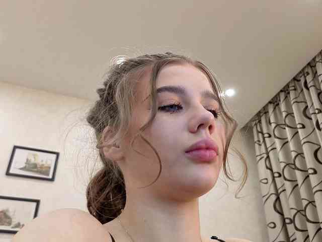 dolly-ll webcam