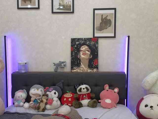 dolly-ll webcam